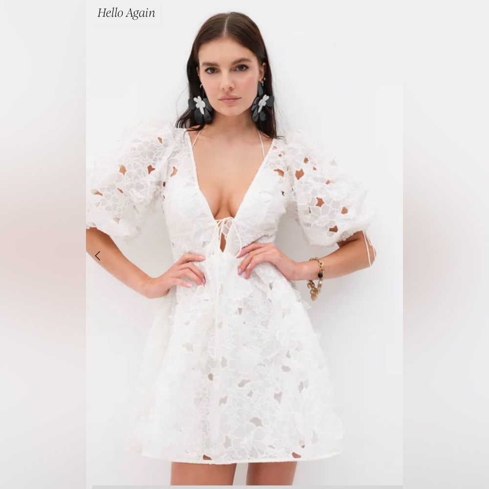 For love and lemons Leighton dress